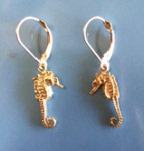 Seahorse Earings